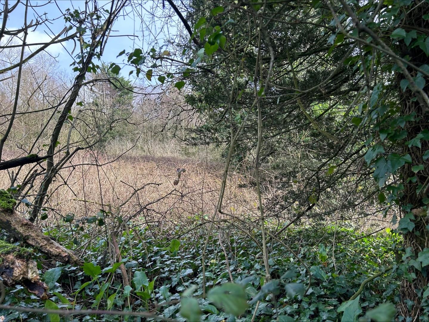 Approx 2.67 acres, Llancarfan, Barry, CF62 3AD